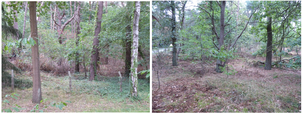 afbeelding "i_NL.IMRO.0988.BPNatuurbegraaf-VA01_0007.png"