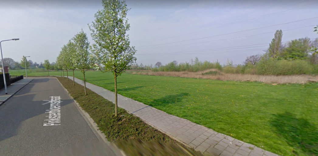 afbeelding "i_NL.IMRO.0988.BPPinksterbloemstr-VA01_0009.png"